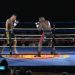 Boxe : revivez le combat Aboulaye Diane – Michal Plesnik