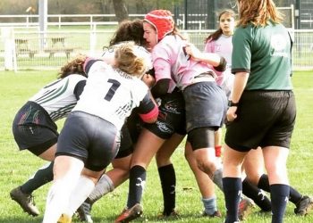 Rugby : les Pays de la Loire, terre d’ovalie