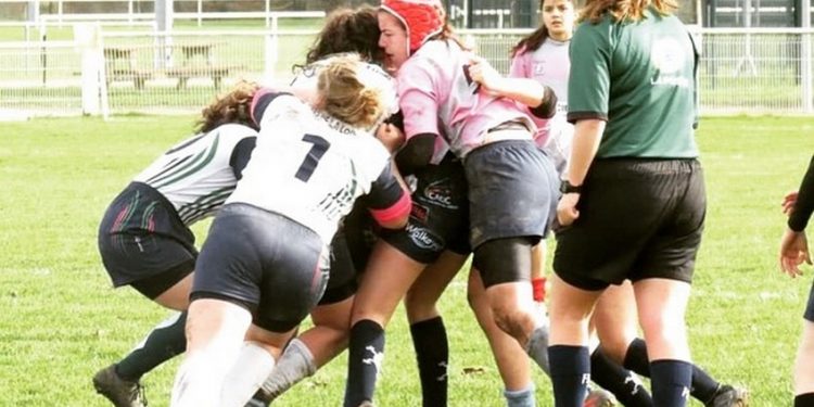 Rugby : les Pays de la Loire, terre d’ovalie