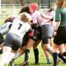 Rugby : les Pays de la Loire, terre d’ovalie