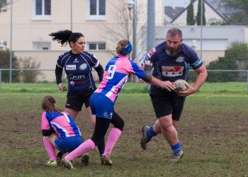 Rugby : les Pays de la Loire, terre d’ovalie