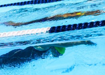 La Fédération française de natation annule les Championnats juniors