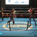 Savate : revivez le combat Stéphane Fofou – Wilfried Bannerman