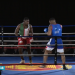 Boxe : revivez le combat Zaho Marshal – Joao Oziza