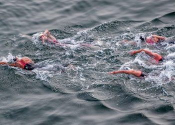Natation : nouvelles dates pour le Défi de Monte-Cristo