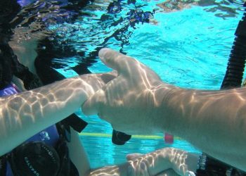 Le Comité Sud FFESS crée une nouvelle solidarité