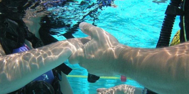 Le Comité Sud FFESS crée une nouvelle solidarité