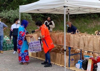Les taekwondoïstes de Montpellier sur le tatami de la solidarité