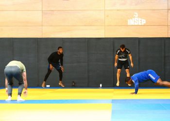 L’équipe de France de judo prête à reprendre