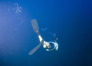Un marathon sous l’eau à Marseille pour l’océan