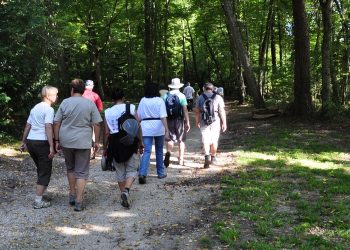Du plein air plein Centre !
