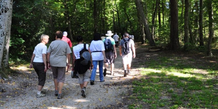 Du plein air plein Centre !