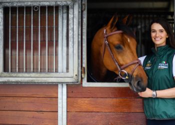 L’État vient en aide aux centres équestres