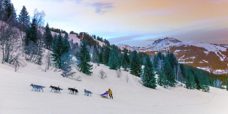 La 17ème édition de La Grande Odyssée Savoie Mont Blanc en janvier 2021