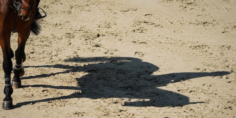 Un spot vidéo pour promouvoir l’équitation dans la Région Sud