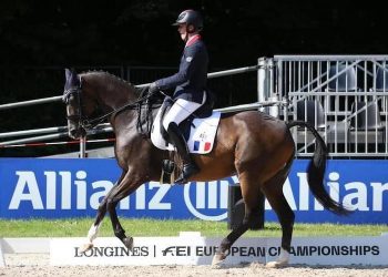 Para-dressage – Camille Jaguelin : « Aussi précis que les valides »