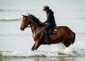 Le Centre-Val de Loire à cheval en septembre