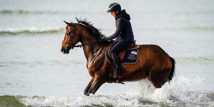 Le Centre-Val de Loire à cheval en septembre