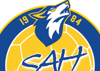 Le Saint-Amand Handball fait évoluer son identité