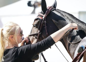 L’équitation amorce sa reprise en Occitanie