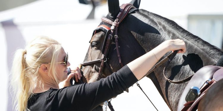 L’équitation amorce sa reprise en Occitanie
