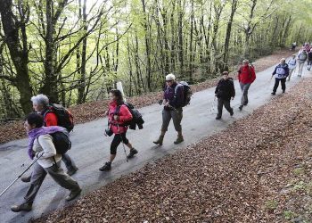 Côtes-d’Armor : un mois pour lutter contre la mucoviscidose