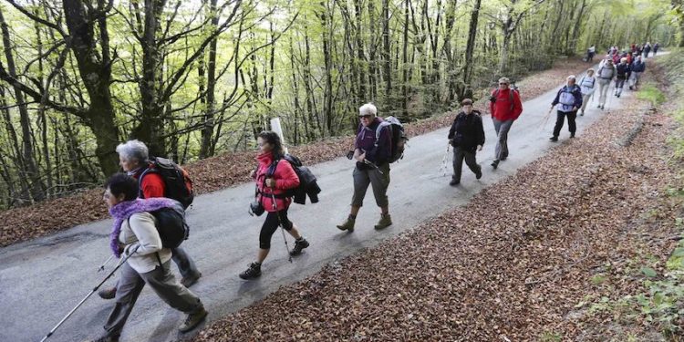 Côtes-d’Armor : un mois pour lutter contre la mucoviscidose