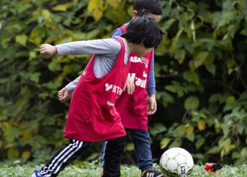 Les animations sportives d’Hérault Sport reviennent