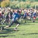 La Haute-Savoie, terre de sport scolaire