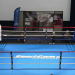 Tournoi Alexis Vastine : revivez les finales