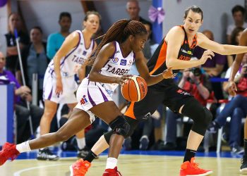 Basket : La FFBB maintient la saison des hautes divisions fédérales