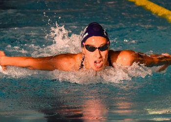 Natation – Denis Auguin : « Nous avons une belle densité »