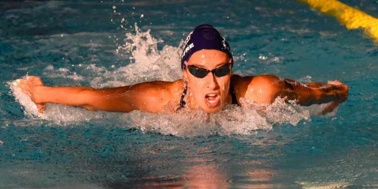 Natation – Denis Auguin : « Nous avons une belle densité »