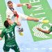 Handball : Liqui Moly partenaire titre de la Starligue pour 5 ans