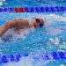 Natation : Les résultats des Championnats de France 2020