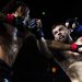 Le MMA sort de sa cage