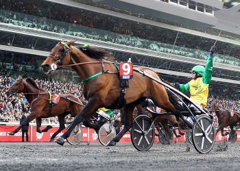 Grand Prix d’Amérique Races Zeturf : « Nous nous sommes réinventés »