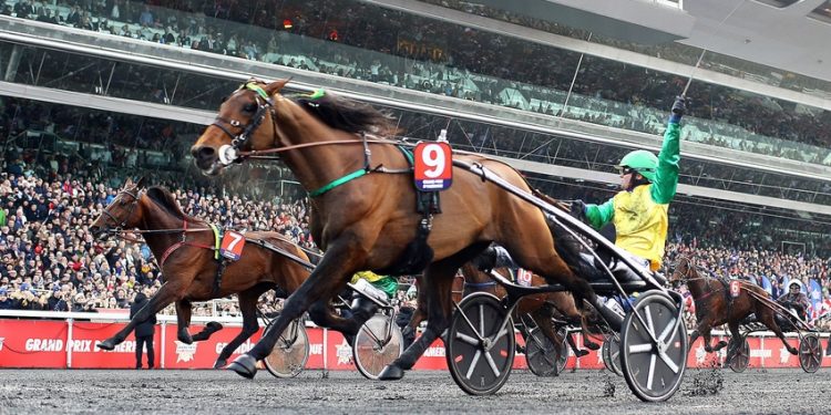 Grand Prix d’Amérique Races Zeturf : « Nous nous sommes réinventés »