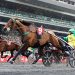 Grand Prix d’Amérique Races Zeturf : « Nous nous sommes réinventés »