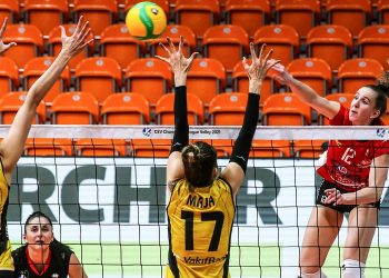 Volley – Ligue A : L’ASPTT Mulhouse champion d’automne