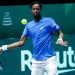 Tennis : Une nouvelle Coupe Davis prévue pour novembre 2021