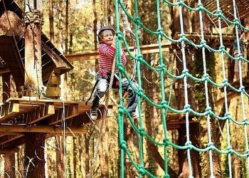 Vannes, ville active et sportive