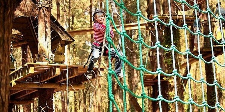 Vannes, ville active et sportive