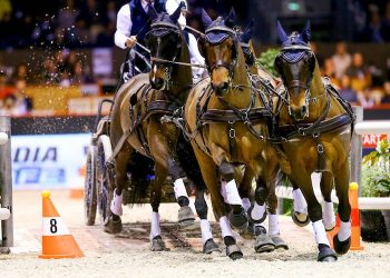 Équitation : La Route du poisson renaît