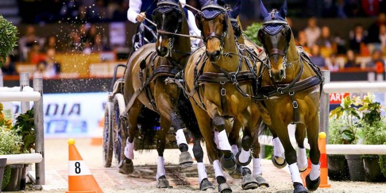 Équitation : La Route du poisson renaît