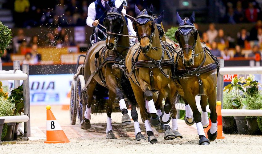 Equitation La Route Du Poisson Renait