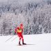 La Foulée Blanche, star du Vercors