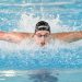 Natation : Un FFN Golden Tour Camille Muffat en comité réduit
