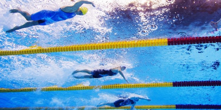 Nanterre surnage en vue de Paris 2024