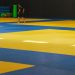 La Ligue de Bourgogne-Franche-Comté de Judo met le cap sur septembre